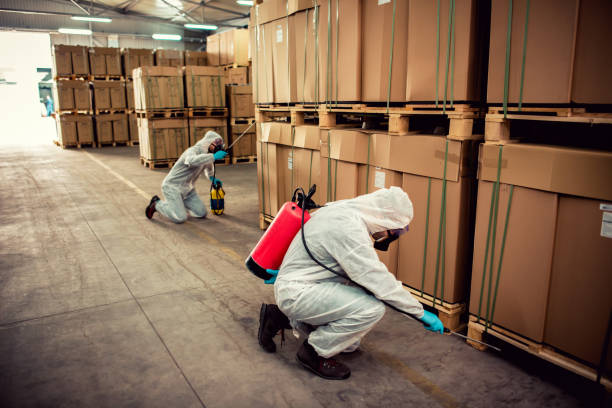 Best Insect Control  in Twin Lake, MI