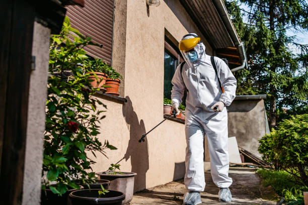 Best Pest Removal Services  in Twin Lake, MI