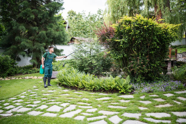 Best Local Pest Control Services  in Twin Lake, MI