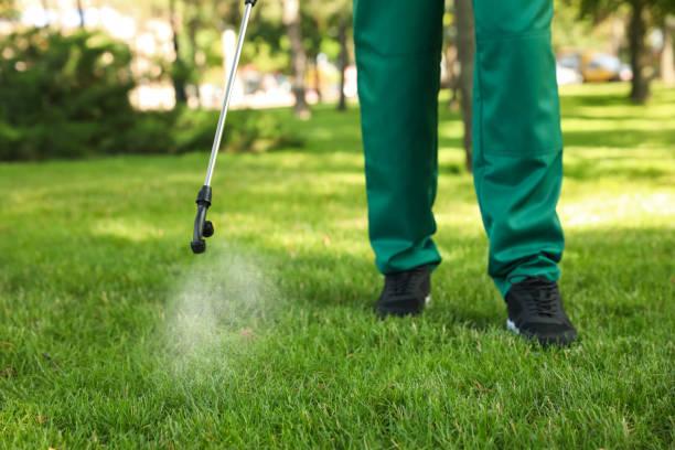 Best Termite Control Services  in Twin Lake, MI