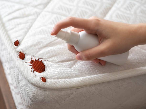 Insect Control in Twin Lake, MI